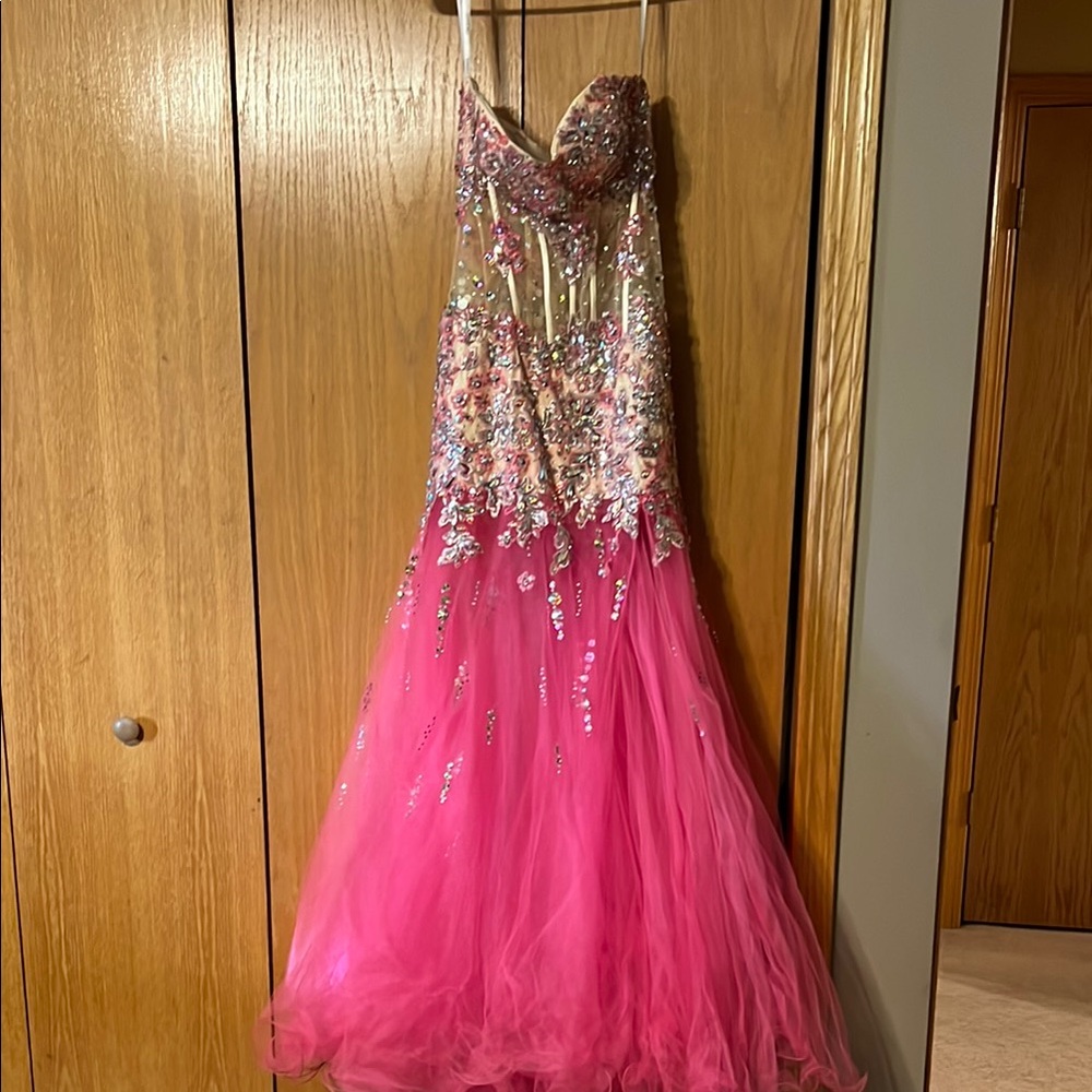 Tony bowls Sz. 4 sheer and hot pink. Lots of crystals and beading.